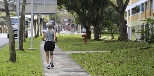 Why does age affect running speed? 1 aging runner